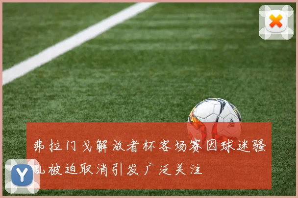 弗拉门戈解放者杯客场赛因球迷骚乱被迫取消引发广泛关注